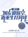 网王:因左脚踩空而重生打网球!