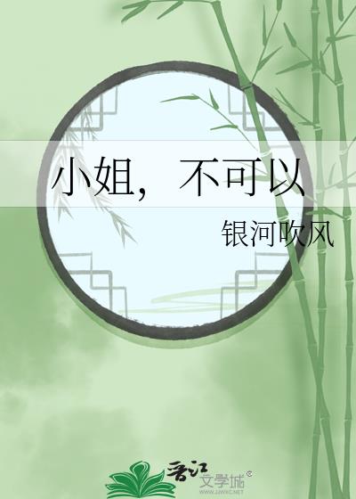 小姐,不可以
