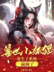 С꣬ϵͳӮ