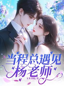 当程总遇见杨老师