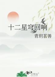 ʮ