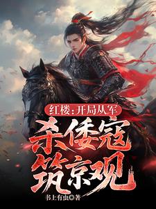 红楼:开局从军,杀倭寇筑京观!