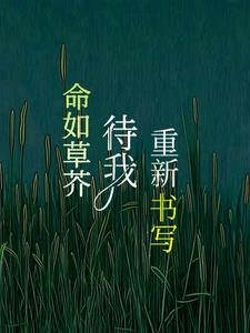 ݽ棬д