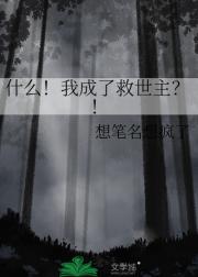 ʲôҳ˾