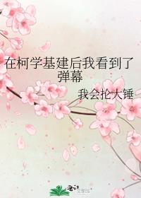 在柯学基建后我看到了弹幕