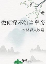 ̽統ʵ
