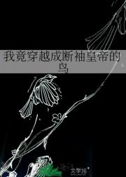 ҾԽɶʵ۵