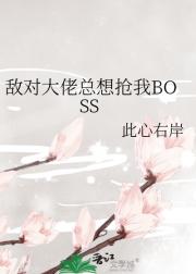 жԴBOSS