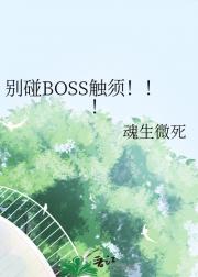 BOSS룡