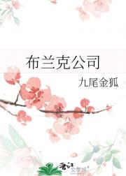 ˹˾
