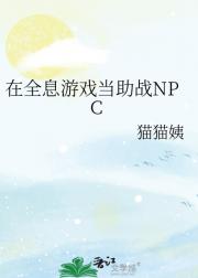 ȫϢϷսNPC