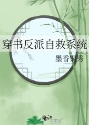 鷴Ծϵͳ