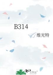B314