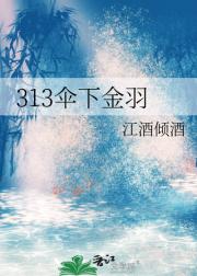 313ɡ½