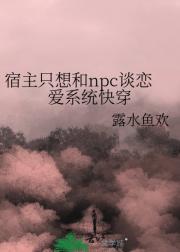 宿主只想和npc谈恋爱系统快穿