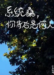 ϵͳɣ㱳Ǻˣ