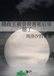 ʵۺԽ