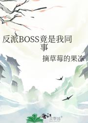 BOSSͬ