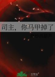 ˾׵