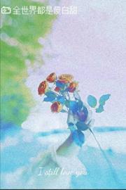 ȫ綼ɵ