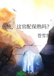 ϵͳ䱣