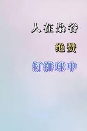 ɹȾ޴