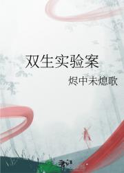 ˫ʵ鰸