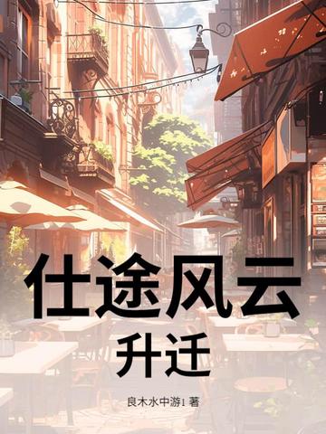 仕途风云:升迁