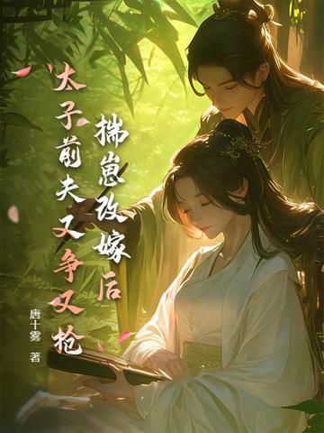 揣崽改嫁后,太子前夫又争又抢