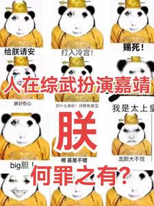 人在综武扮演嘉靖:朕何罪之有?