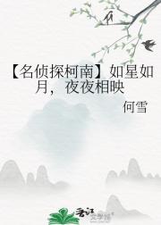 【名侦探柯南】如星如月,夜夜相映