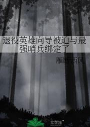 退役英雄向导被迫与最强哨兵绑定了