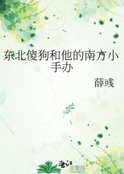 东北傻狗和他的南方小手办