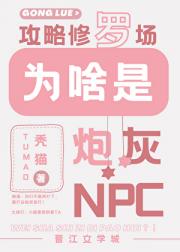 ޳ΪɶڻNPC