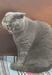 ɶ󣬱ס˺󾱣