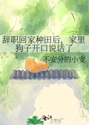 ְؼ󣬼ﹷӿ˵