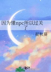ΪnpcԹ