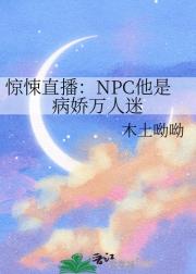 ֱNPCǲ