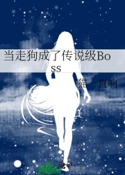 ߹˴˵Boss