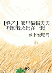 【铁乙】家里猫猫天天想和我永远在一起