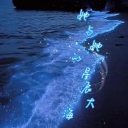 她与她的星辰大海