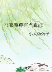 吾家魔尊有点乖gb