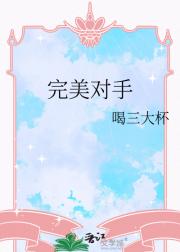 完美对手