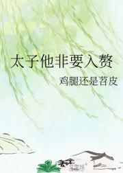 太子他非要入赘