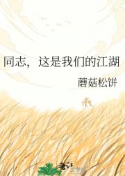 同志,这是我们的江湖
