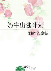 奶牛出逃计划