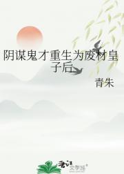 阴谋鬼才重生为废材皇子后