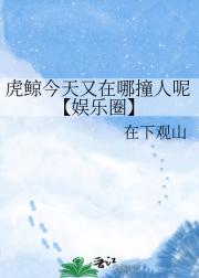 虎鲸今天又在哪撞人呢【娱乐圈】