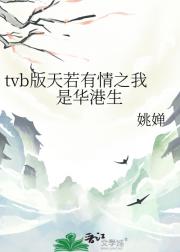tvb版天若有情之我是华港生