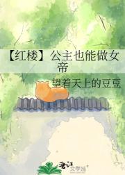 【红楼】公主也能做女帝